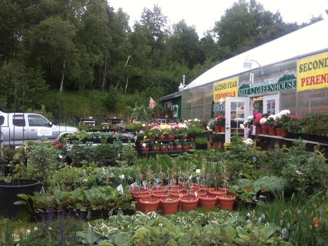 Hardy perennials, alaskan perennials, eagle river perennials, anchorage perennials, hardy perennials, sun perennials, part sun perennials, shade perennials,