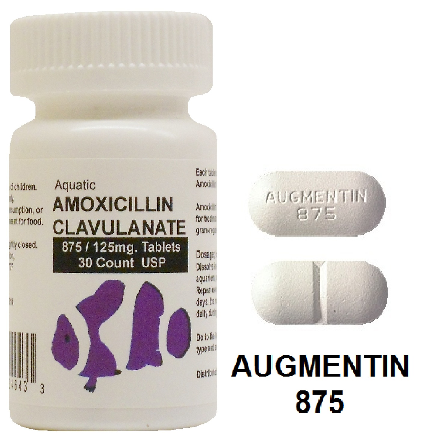 Amoxil 875 Amoxicillin