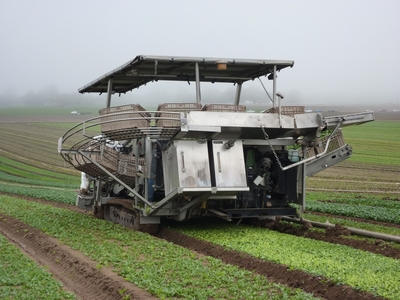 The controls on this spinach harvester are similar to those on a tank, with one joystick for each track.