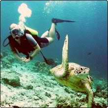 Diver with a turtle