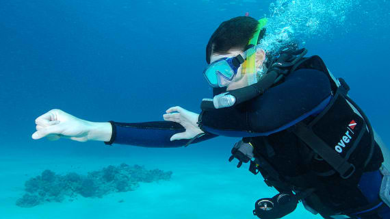 Diver with compass