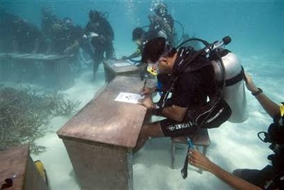 diver studying underwater