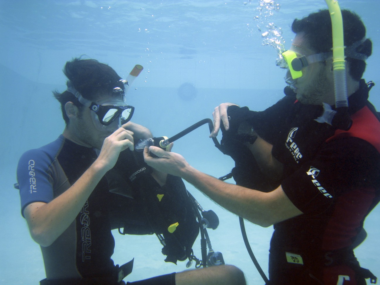 Divers Practicing skills