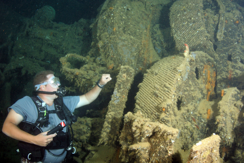 Diver and transmission gears