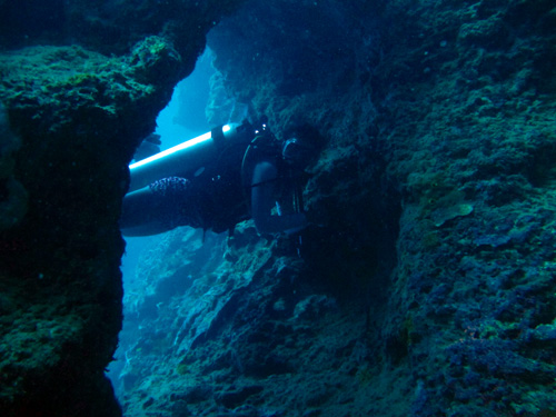 Cavern Diving