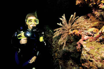 Diver on a night dive