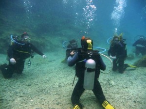 Divers with an Instructor.