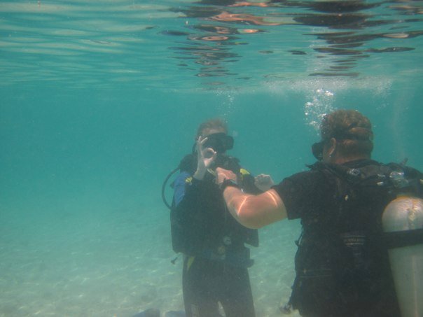 Divers in shallow water