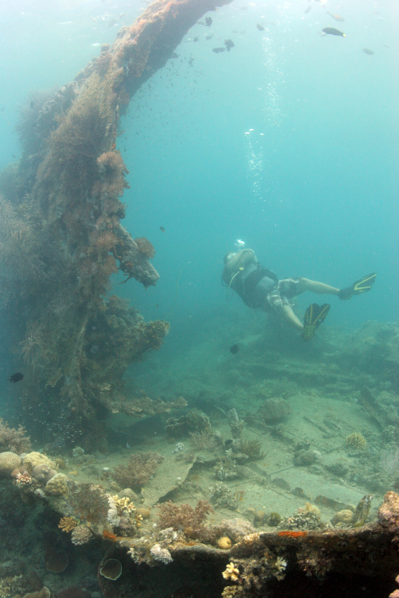 Diver on the Lusong Gunboat