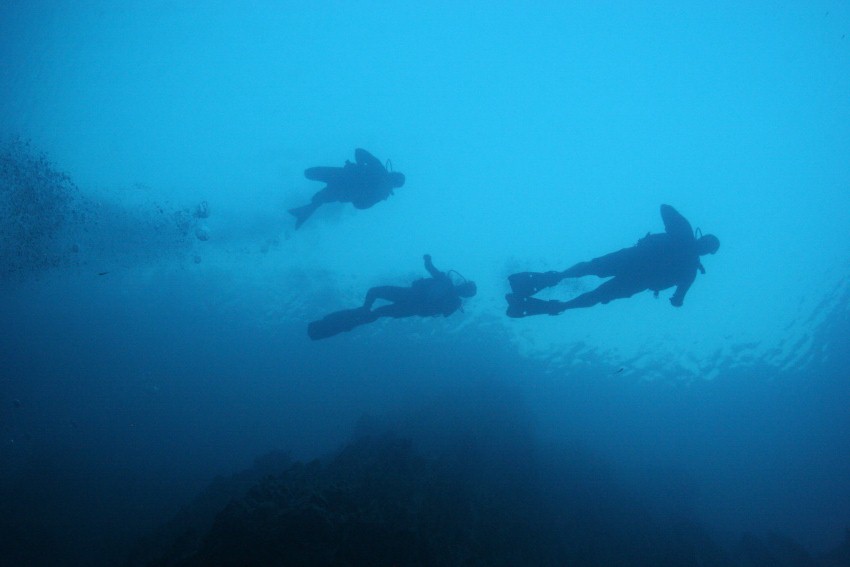 Two divers following Instructor