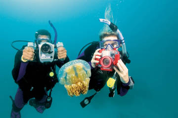 Divers with cameras