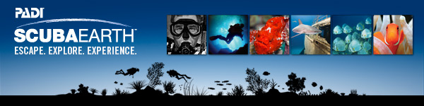 Join Neptune Dive Center's Crew on ScubaEarth!