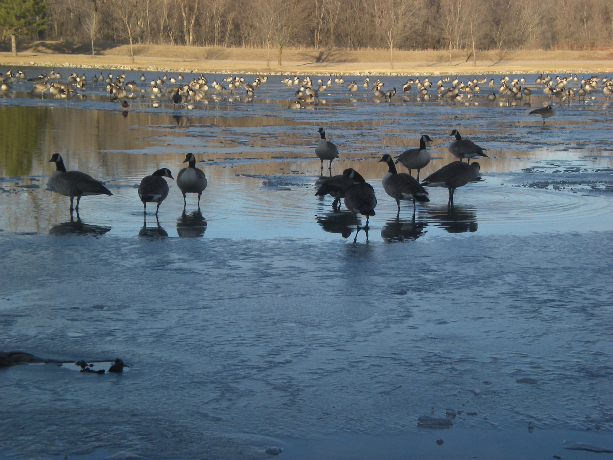 Crystal Springs, Fairbury Ne