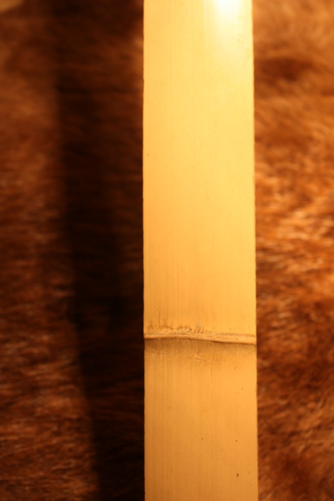 Bamboo backing strip 