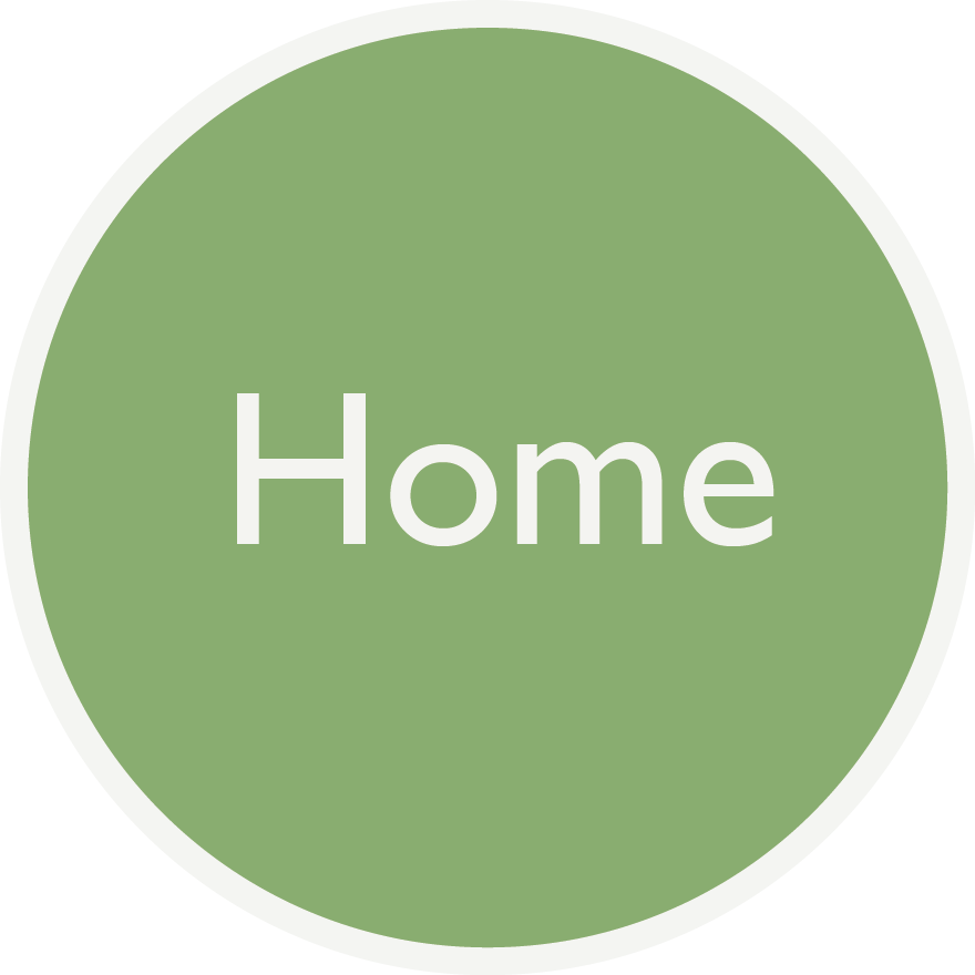 home button