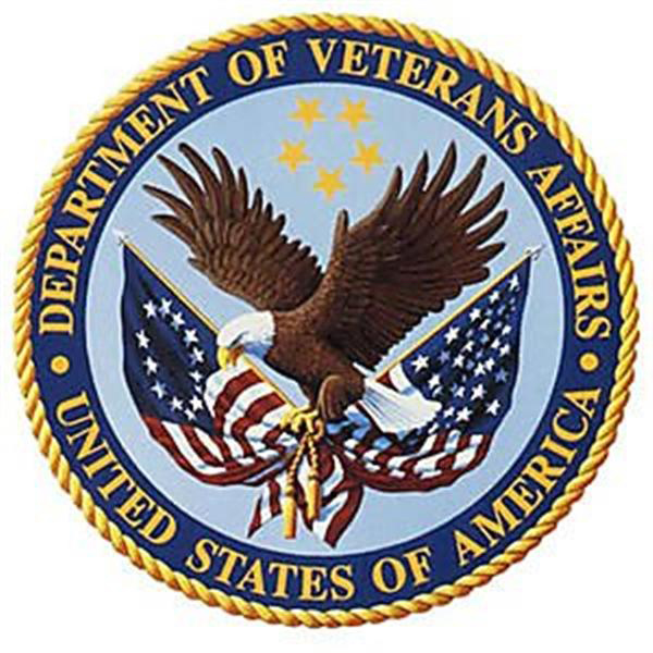 TheraTub-Walk-In-Tubs-Department-Of-Veterans-Affairs-Picture