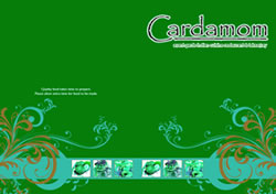 Cardamom Takeaway Menu