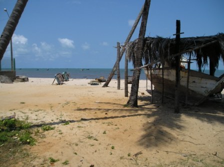 Image description