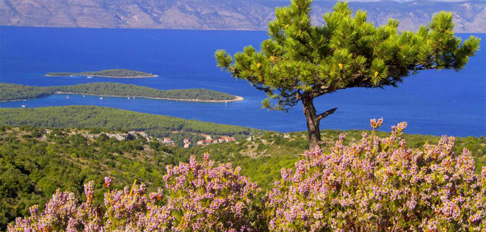 Hiking Hvar