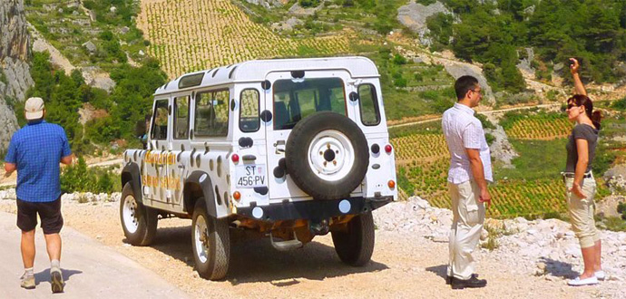 Dalmatian Island Safari