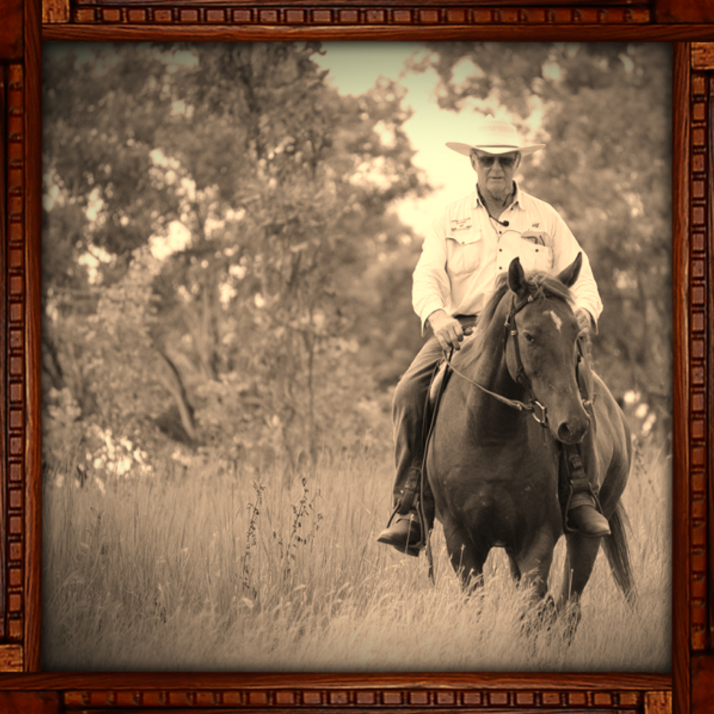 toomby horsemanship | bio